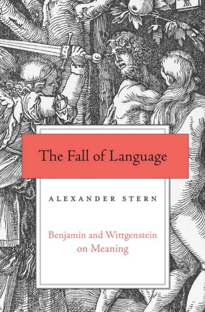 The Fall of Language : Benjamin and Wittgenstein on Meaning, EPUB eBook