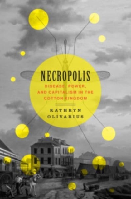 Necropolis : Disease, Power, and Capitalism in the Cotton Kingdom, Hardback Book