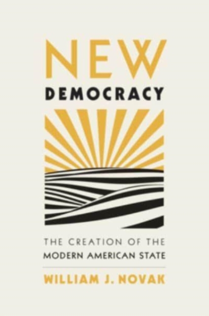 New Democracy : The Creation of the Modern American State, Hardback Book