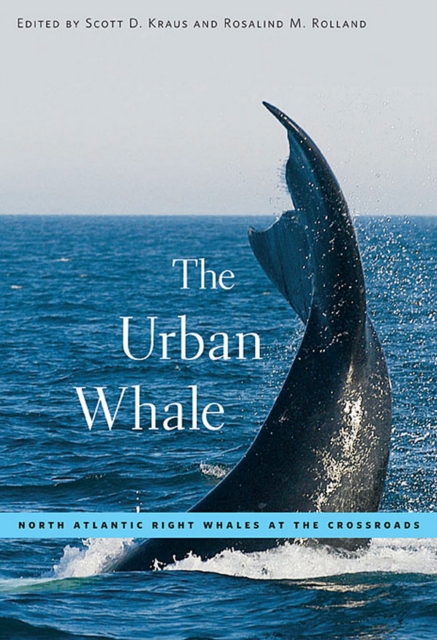 The Urban Whale : North Atlantic Right Whales at the Crossroads, PDF eBook