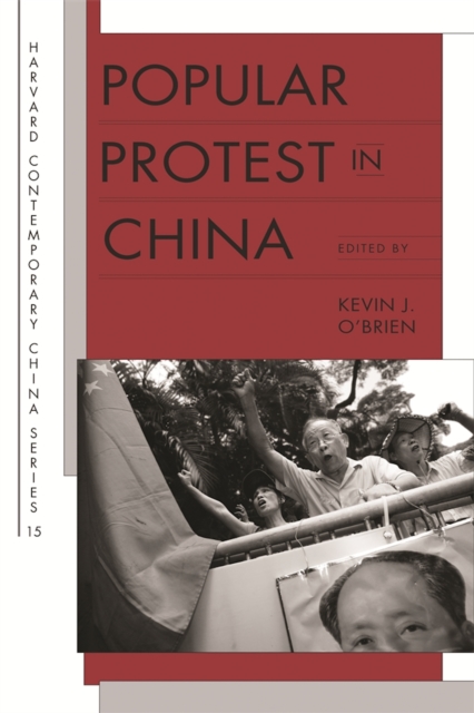 Popular Protest in China, EPUB eBook