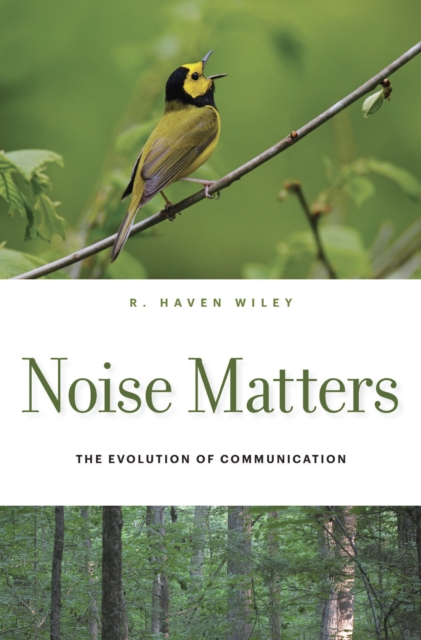 Noise Matters : The Evolution of Communication, EPUB eBook