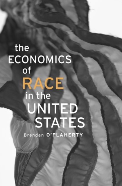 The Economics of Race in the United States, Hardback Book
