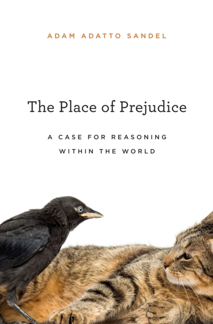 The Place of Prejudice : A Case for Reasoning within the World, EPUB eBook