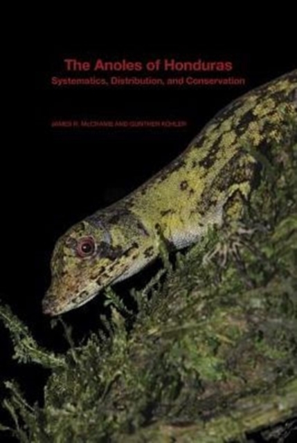 The Anoles of Honduras : Systematics, Distribution, and Conservation, Paperback / softback Book
