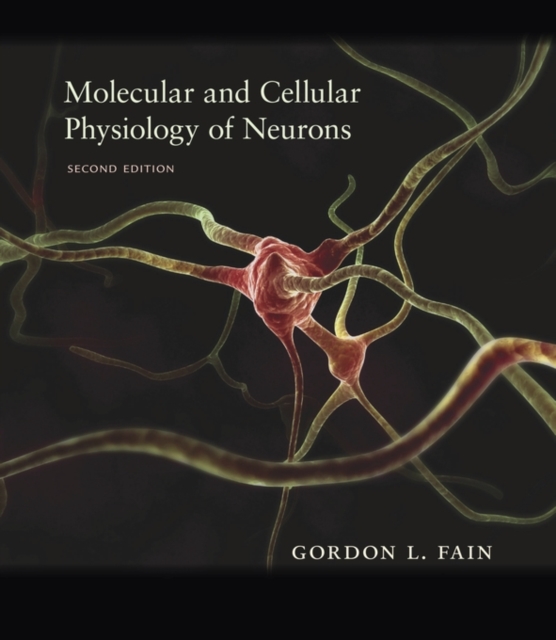 Molecular and Cellular Physiology of Neurons : Second Edition, Hardback Book