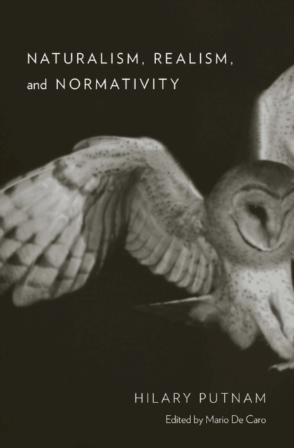 Naturalism, Realism, and Normativity, Hardback Book