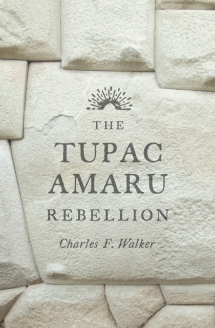 The Tupac Amaru Rebellion, Paperback / softback Book