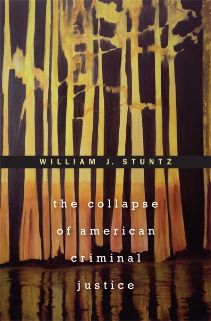 The Collapse of American Criminal Justice, Paperback / softback Book