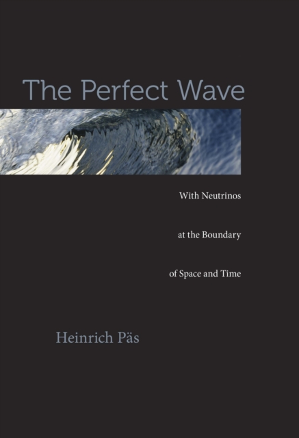 The Perfect Wave, EPUB eBook