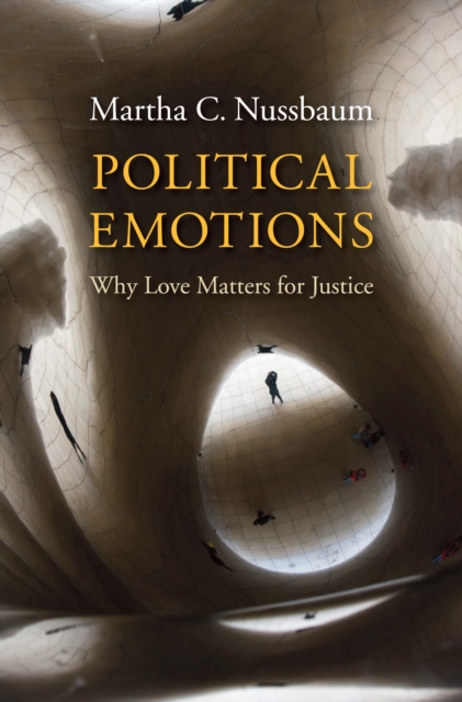Political Emotions, EPUB eBook