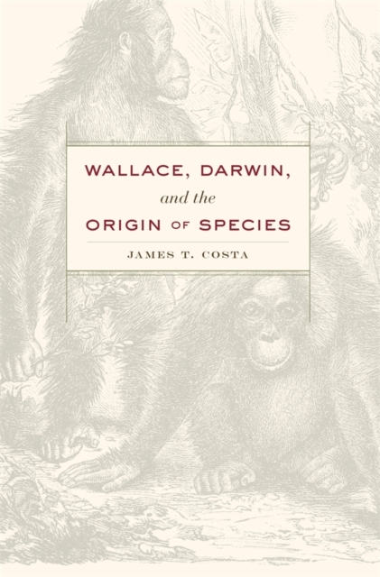 Wallace, Darwin, and the Origin of Species, Hardback Book