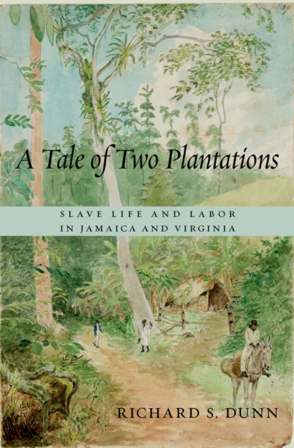 A Tale of Two Plantations : Slave Life and Labor in Jamaica and Virginia, EPUB eBook