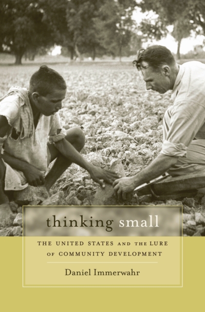 Thinking Small : The United States and the Lure of Community Development, EPUB eBook