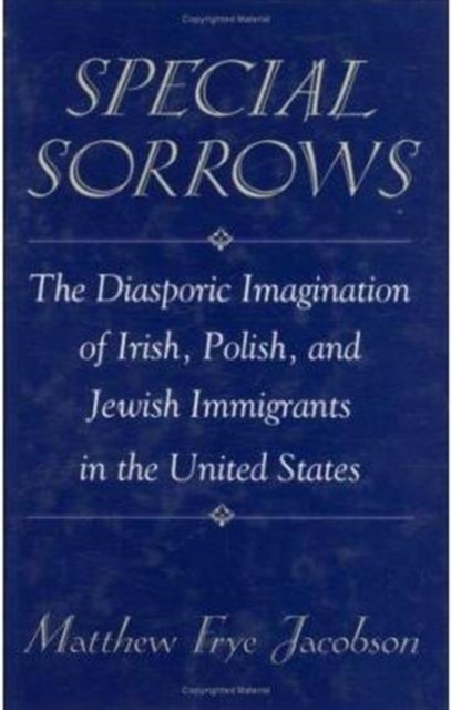 Special Sorrows : The Diasporic Imagination of Irish, Polish, and Jewish Immigrants in the United States, Hardback Book