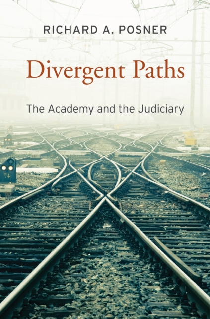Divergent Paths : The Academy and the Judiciary, EPUB eBook