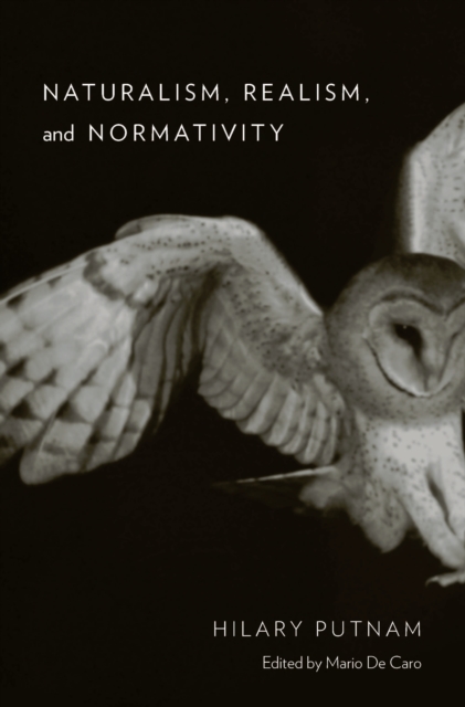 Naturalism, Realism, and Normativity, EPUB eBook