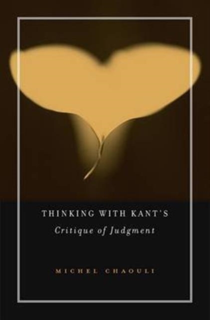 Thinking with Kant’s Critique of Judgment, Hardback Book