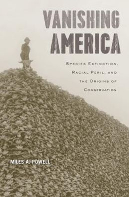 Vanishing America : Species Extinction, Racial Peril, and the Origins of Conservation, Hardback Book