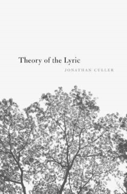 Theory of the Lyric, Paperback / softback Book