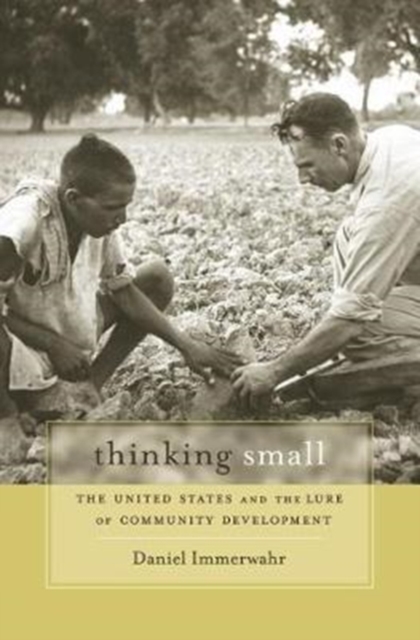 Thinking Small : The United States and the Lure of Community Development, Paperback / softback Book