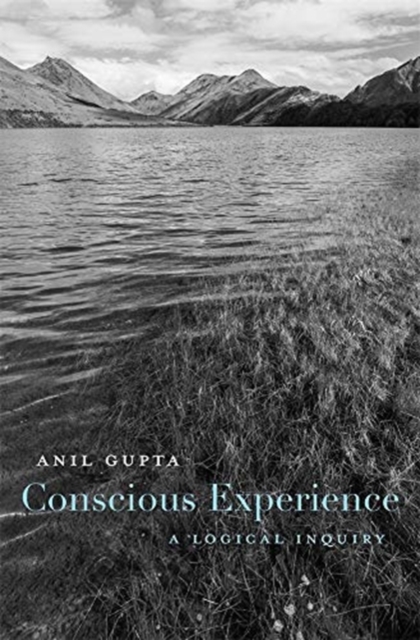 Conscious Experience : A Logical Inquiry, Hardback Book