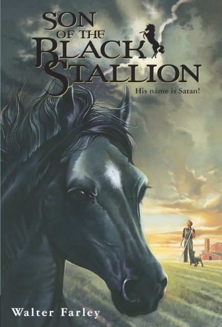 Son of the Black Stallion, Paperback / softback Book