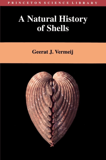 A Natural History of Shells, Paperback / softback Book