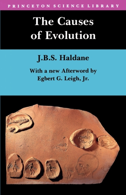 The Causes of Evolution, Paperback / softback Book