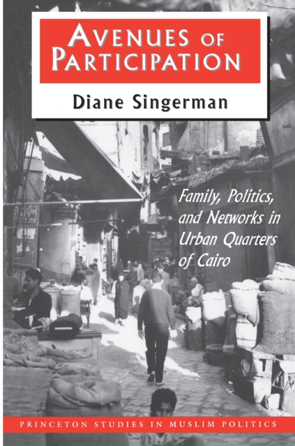 Avenues of Participation : Family, Politics, and Networks in Urban Quarters of Cairo, Paperback / softback Book