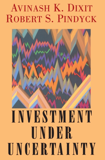 Investment under Uncertainty, Hardback Book