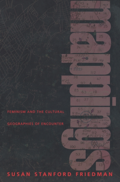 Mappings : Feminism and the Cultural Geographies of Encounter, Paperback / softback Book