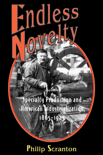 Endless Novelty : Specialty Production and American Industrialization, 1865-1925, Paperback / softback Book