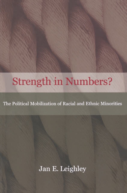 Strength in Numbers? : The Political Mobilization of Racial and Ethnic Minorities, Paperback / softback Book