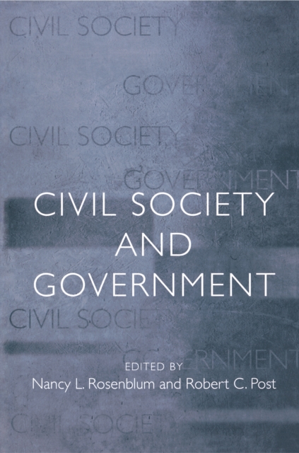 Civil Society and Government, Paperback / softback Book