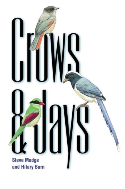 Crows and Jays, Paperback Book