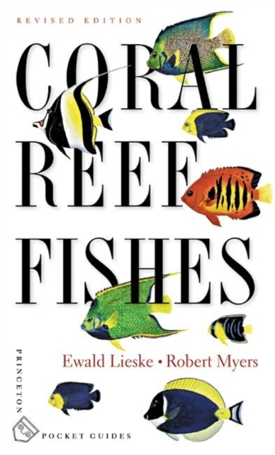 Coral Reef Fishes : Caribbean, Indian Ocean and Pacific Ocean Including the Red Sea, Paperback Book