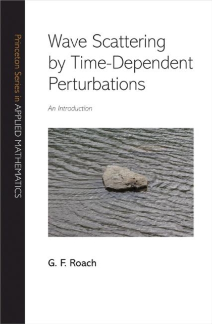Wave Scattering by Time-Dependent Perturbations : An Introduction, Hardback Book