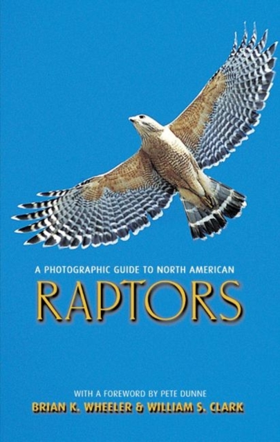 A Photographic Guide to North American Raptors, Paperback Book
