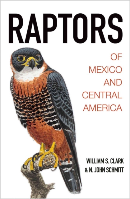 Raptors of Mexico and Central America, Hardback Book