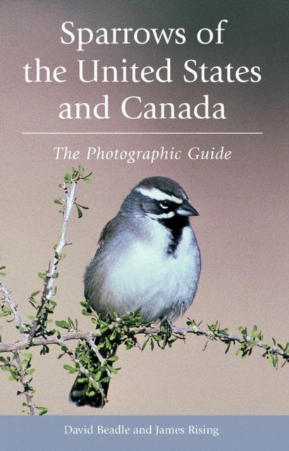 Sparrows of the United States and Canada : The Photographic Guide, Paperback Book