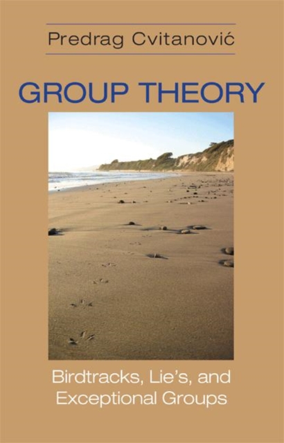 Group Theory : Birdtracks, Lie's, and Exceptional Groups, Hardback Book