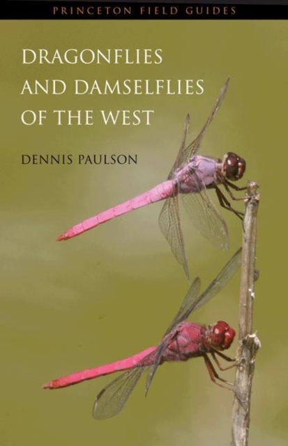 Dragonflies and Damselflies of the West, Paperback / softback Book