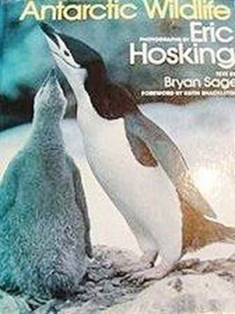 Antarctic Wildlife, Hardback Book