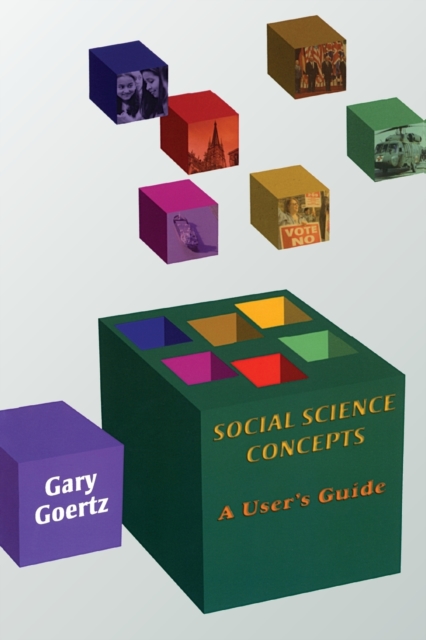 Social Science Concepts : A User's Guide, Paperback / softback Book