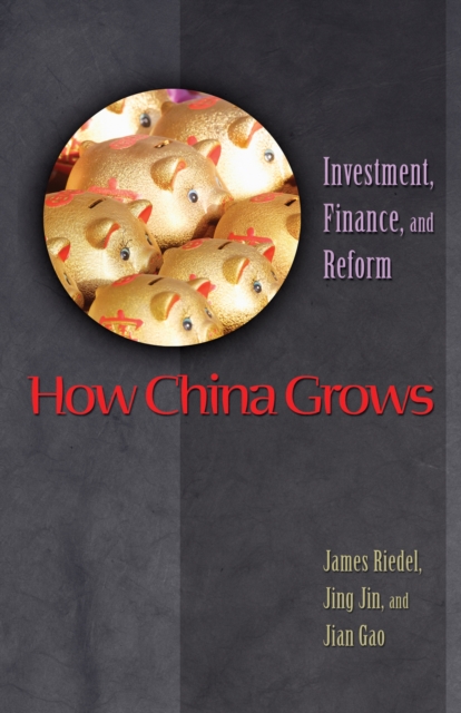 How China Grows : Investment, Finance, and Reform, Hardback Book