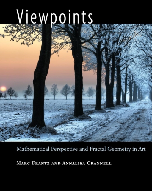 Viewpoints : Mathematical Perspective and Fractal Geometry in Art, Hardback Book