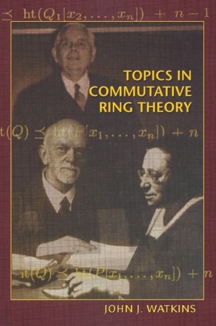 Topics in Commutative Ring Theory, Hardback Book