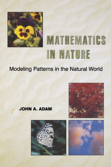 Mathematics in Nature : Modeling Patterns in the Natural World, Paperback / softback Book