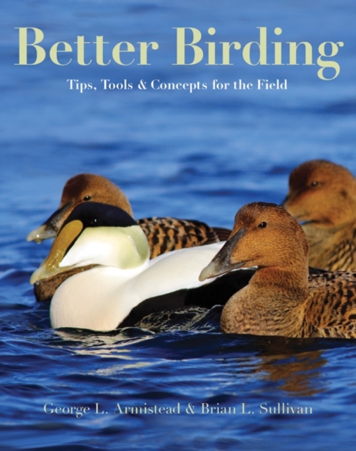 Better Birding : Tips, Tools, and Concepts for the Field, Paperback / softback Book